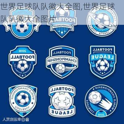 世界足球队队徽大全图,世界足球队队徽大全图片