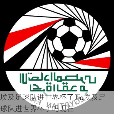 埃及足球队进世界杯了吗,埃及足球队进世界杯了吗现在