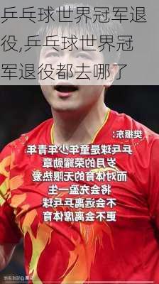 乒乓球世界冠军退役,乒乓球世界冠军退役都去哪了