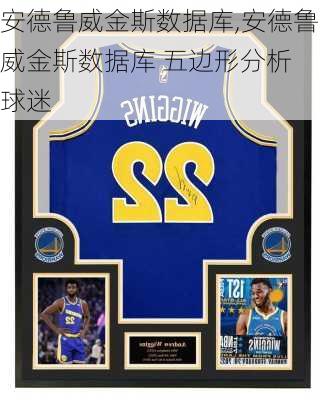 安德鲁威金斯数据库,安德鲁威金斯数据库 五边形分析 球迷