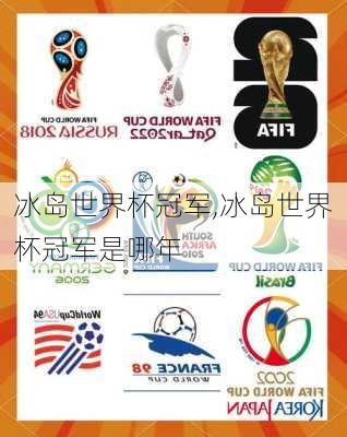 冰岛世界杯冠军,冰岛世界杯冠军是哪年