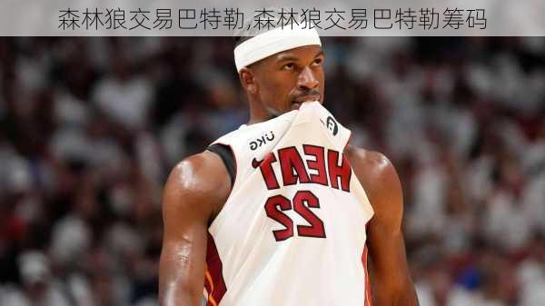 森林狼交易巴特勒,森林狼交易巴特勒筹码