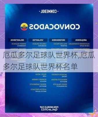 厄瓜多尔足球队世界杯,厄瓜多尔足球队世界杯名单
