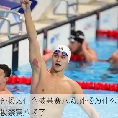 孙杨为什么被禁赛八场,孙杨为什么被禁赛八场了