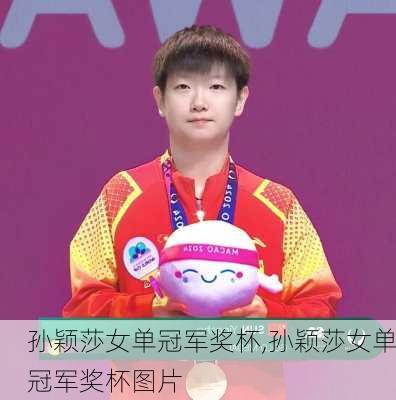 孙颖莎女单冠军奖杯,孙颖莎女单冠军奖杯图片