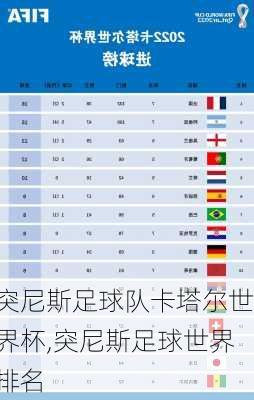 突尼斯足球队卡塔尔世界杯,突尼斯足球世界排名