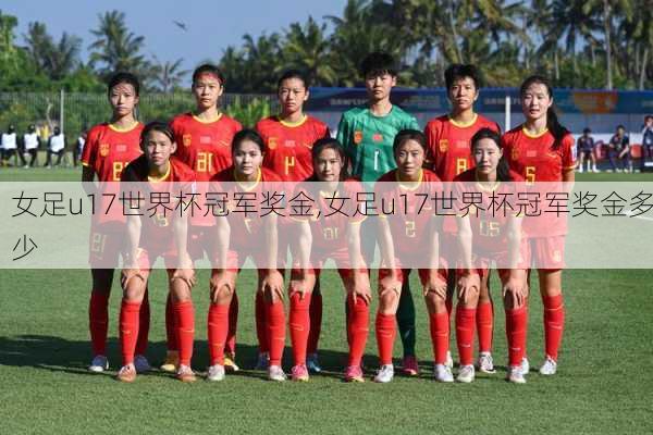 女足u17世界杯冠军奖金,女足u17世界杯冠军奖金多少