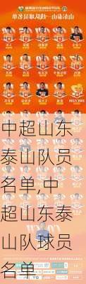 中超山东泰山队员名单,中超山东泰山队球员名单