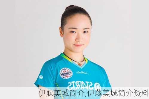 伊藤美城简介,伊藤美城简介资料