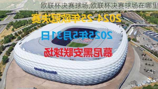欧联杯决赛球场,欧联杯决赛球场在哪里