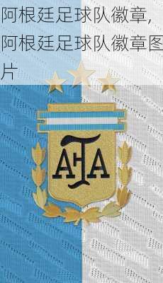 阿根廷足球队徽章,阿根廷足球队徽章图片