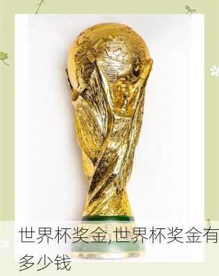 世界杯奖金,世界杯奖金有多少钱