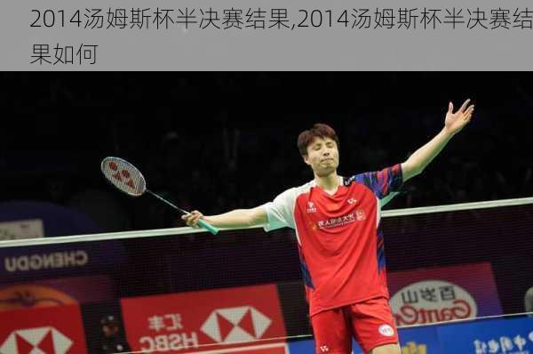 2014汤姆斯杯半决赛结果,2014汤姆斯杯半决赛结果如何
