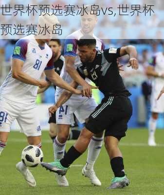 世界杯预选赛冰岛vs,世界杯预选赛冰岛