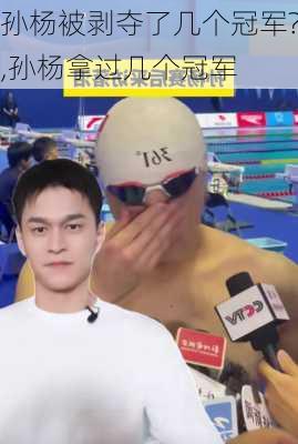 孙杨被剥夺了几个冠军?,孙杨拿过几个冠军