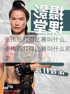 张伟丽打得比赛叫什么,张伟丽打得比赛叫什么名字