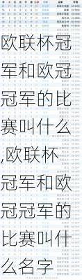 欧联杯冠军和欧冠冠军的比赛叫什么,欧联杯冠军和欧冠冠军的比赛叫什么名字