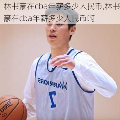 林书豪在cba年薪多少人民币,林书豪在cba年薪多少人民币啊