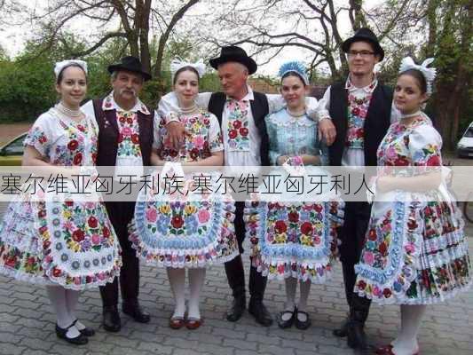 塞尔维亚匈牙利族,塞尔维亚匈牙利人