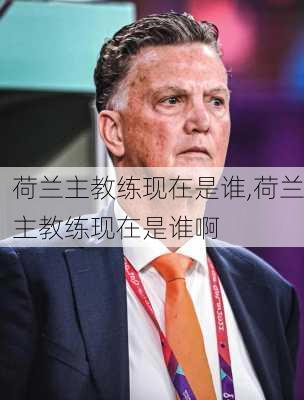 荷兰主教练现在是谁,荷兰主教练现在是谁啊