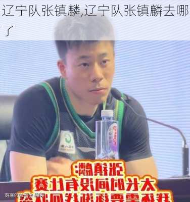 辽宁队张镇麟,辽宁队张镇麟去哪了