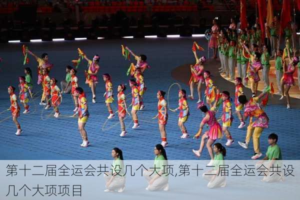 第十二届全运会共设几个大项,第十二届全运会共设几个大项项目