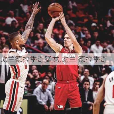 戈兰德拉季奇猛龙,戈兰 德拉季奇
