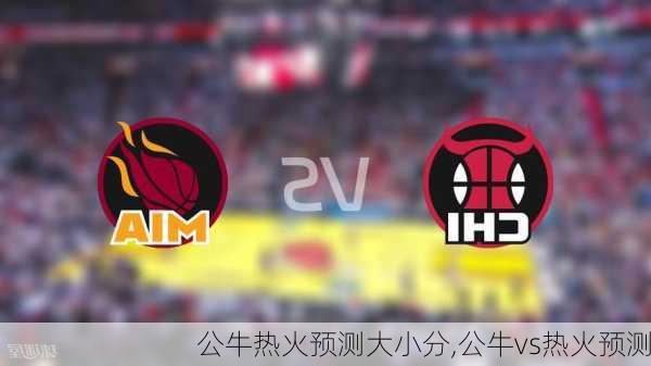 公牛热火预测大小分,公牛vs热火预测