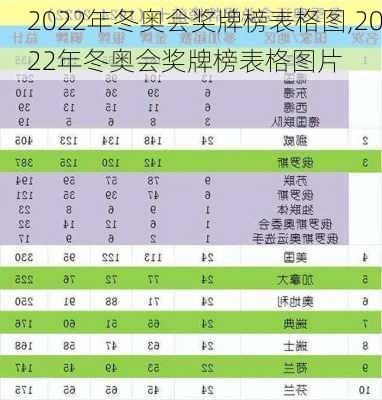 2022年冬奥会奖牌榜表格图,2022年冬奥会奖牌榜表格图片
