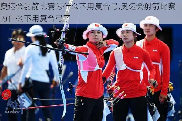 奥运会射箭比赛为什么不用复合弓,奥运会射箭比赛为什么不用复合弓了