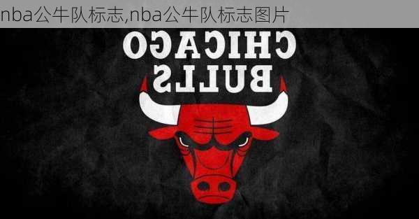 nba公牛队标志,nba公牛队标志图片