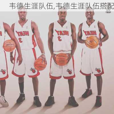 韦德生涯队伍,韦德生涯队伍搭配