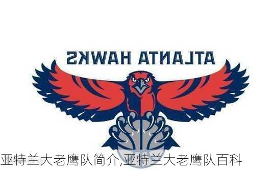 亚特兰大老鹰队简介,亚特兰大老鹰队百科