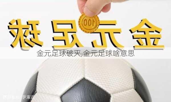 金元足球破灭,金元足球啥意思