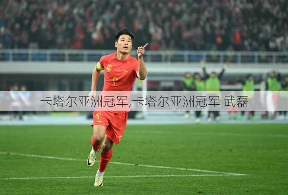 卡塔尔亚洲冠军,卡塔尔亚洲冠军 武磊