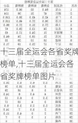 十三届全运会各省奖牌榜单,十三届全运会各省奖牌榜单图片