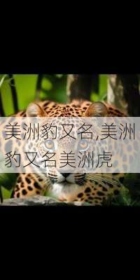 美洲豹又名,美洲豹又名美洲虎