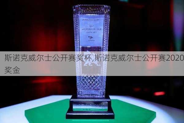 斯诺克威尔士公开赛奖杯,斯诺克威尔士公开赛2020奖金