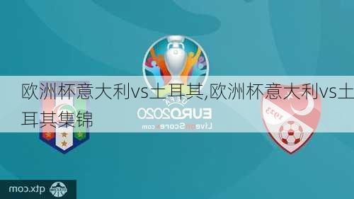 欧洲杯意大利vs土耳其,欧洲杯意大利vs土耳其集锦