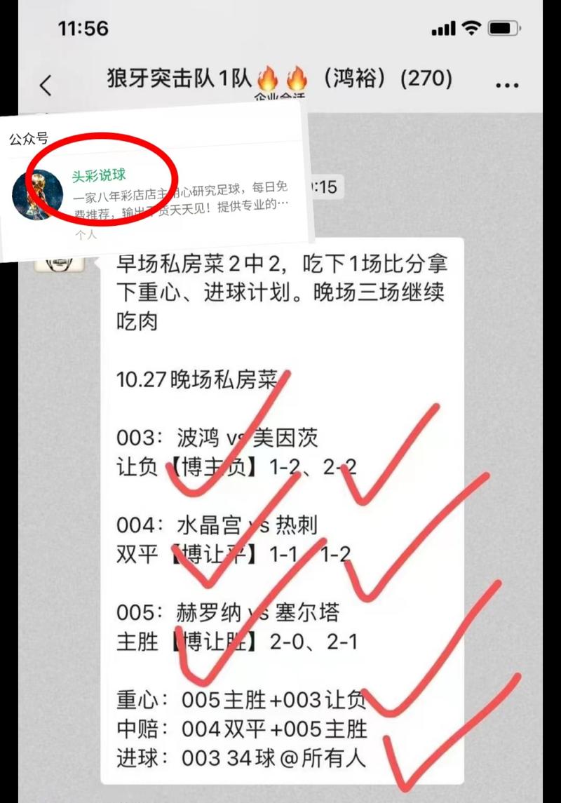 勒沃库森对弗赖堡,勒沃库森对弗赖堡比分预测