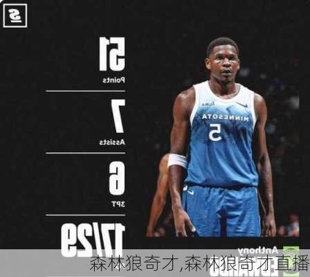 森林狼奇才,森林狼奇才直播