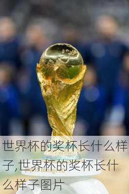 世界杯的奖杯长什么样子,世界杯的奖杯长什么样子图片