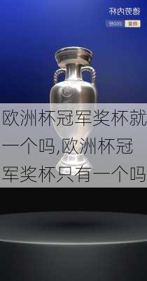 欧洲杯冠军奖杯就一个吗,欧洲杯冠军奖杯只有一个吗