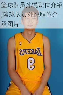 篮球队员孙悦职位介绍,篮球队员孙悦职位介绍图片