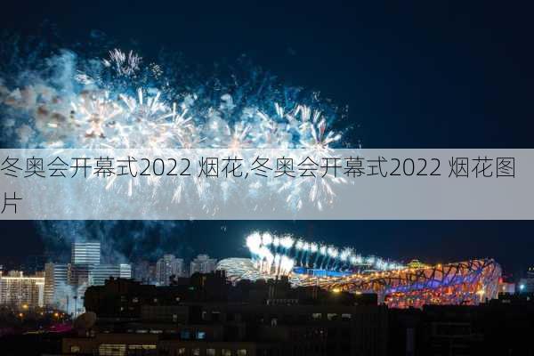 冬奥会开幕式2022 烟花,冬奥会开幕式2022 烟花图片