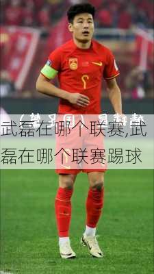 武磊在哪个联赛,武磊在哪个联赛踢球