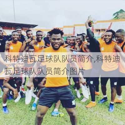 科特迪瓦足球队队员简介,科特迪瓦足球队队员简介图片