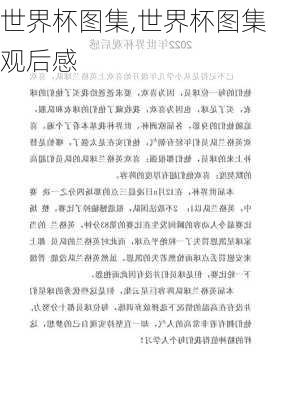 世界杯图集,世界杯图集观后感