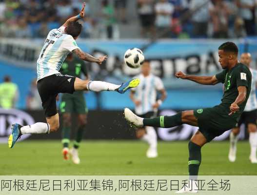 阿根廷尼日利亚集锦,阿根廷尼日利亚全场
