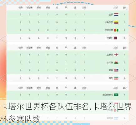 卡塔尔世界杯各队伍排名,卡塔尔世界杯参赛队数